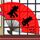 留几手首先要留住底线
